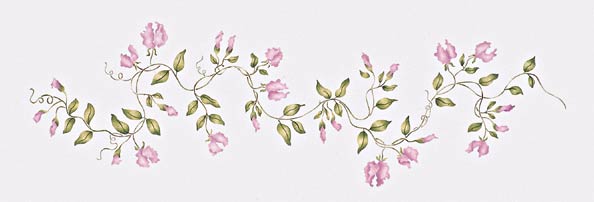 #410 Sweetpea Vine Stencil