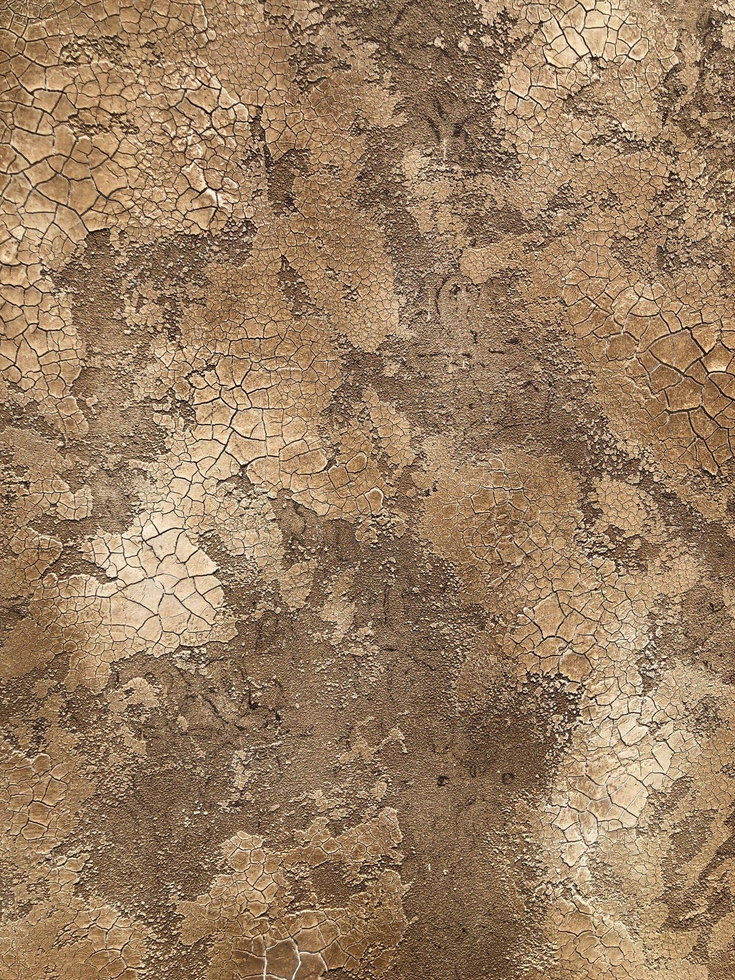 Genevieve Product Kit