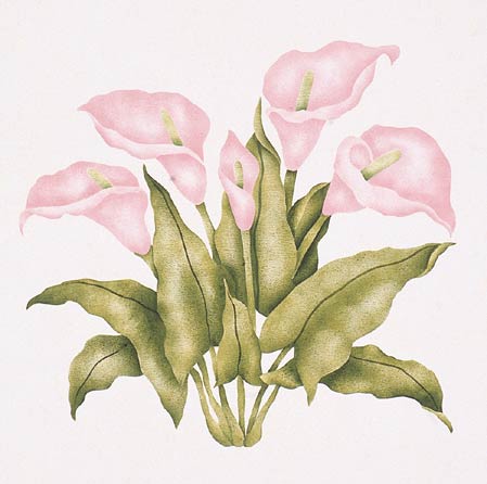 #609 Calla Lily Stencil
