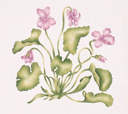 #612 Victoria's Violets Stencil