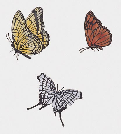 #702 Winged Wonders Stencil