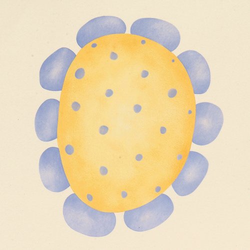 #732 Polka-Dot Flower Stencil