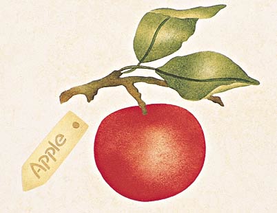 #421 Apple Stencil