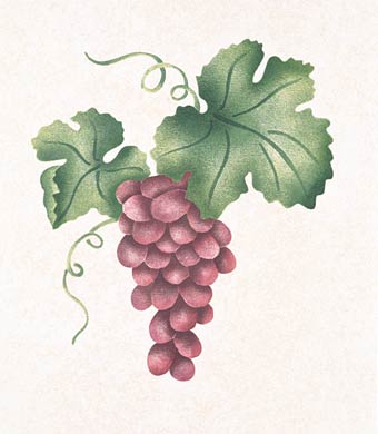 #704 Tuscany Grapes Stencil